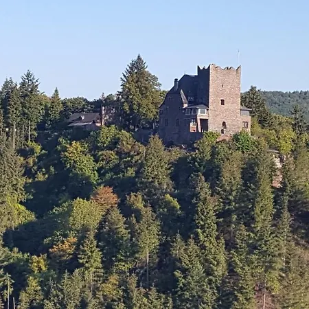 Ferienwohnung Sternenwald