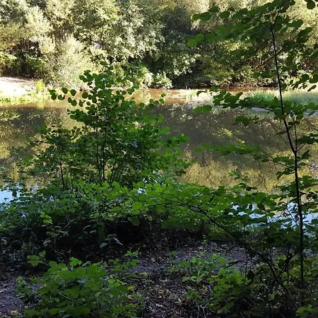 Ferienwohnung Sternenwald Alf